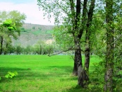 Кристалл