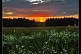 Александрия