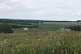 Первоцвет