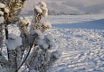 Во что вложить деньги и не понести потерь?