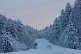 Медвежья долина ДНТ