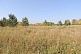 Борлог деревня