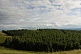 Панорамный участок 10 сот в ДНТ " Горизонт"