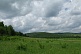 Каракуш