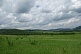 Каракуш