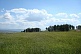 Золотые ключи