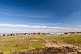 Кузнецово Березки