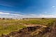 Кузнецово Березки