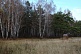 Есаульский бор