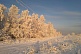 Участок 12сот. с пропиской 